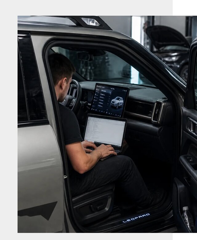 Русификация BYD Leopard 3 в Дедовске по цене от 21880 р. | ФастМобиль-Ддв